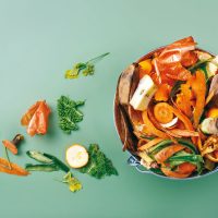 Cet article n'a pas de photo de couverture associée