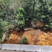 Cet article n'a pas de photo de couverture associée