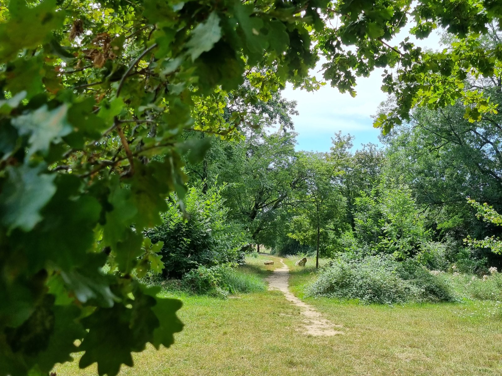 Domaine de la Burthe