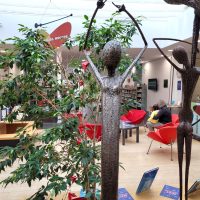 Cet article n'a pas de photo de couverture associée