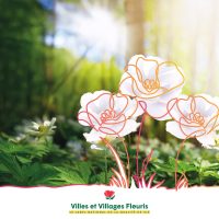 Cet article n'a pas de photo de couverture associée