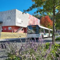 Cet article n'a pas de photo de couverture associée