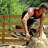 Cet article n'a pas de photo de couverture associée